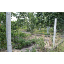 Wildzaun Forstzaun Weidezaun 150/15/30 Knotengeflecht Zaun 50m
